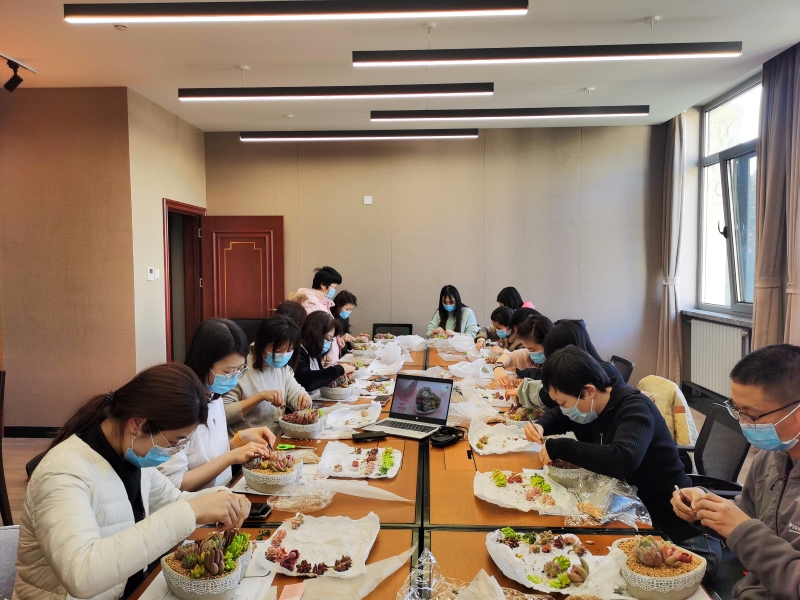 1647855466921011.jpg “多肉花园DIY”花艺活动-4.jpg