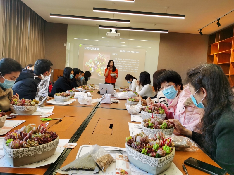 1647855483539913.jpg “多肉花园DIY”花艺活动-5.jpg