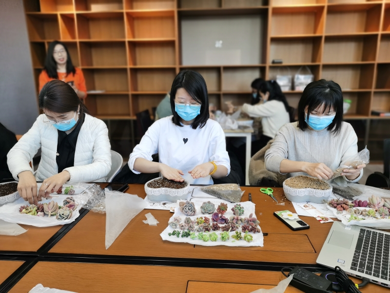 1647855564742284.jpg “多肉花园DIY”花艺活动-3.jpg