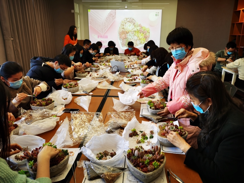 1647855583806512.jpg “多肉花园DIY”花艺活动-6.jpg